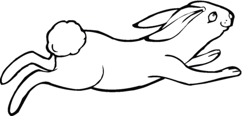 Jumping Jack Rabbit Coloring Page